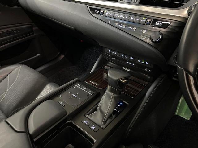 ＥＳ ＥＳ３００ｈ　バージョンＬ　デジタルインナーミラー　パノラミックビューモニター　マークレビンソンサウンド　ムーンルーフ　ブラインドスポット　パドルシフト　純正１８インチアルミ　メモリー機能付きパワーシート　パワートランクリッド（53枚目）