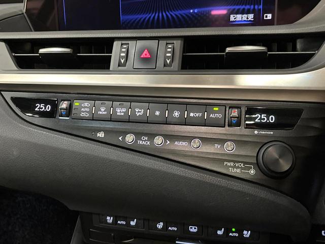 ＥＳ ＥＳ３００ｈ　バージョンＬ　デジタルインナーミラー　パノラミックビューモニター　マークレビンソンサウンド　ムーンルーフ　ブラインドスポット　パドルシフト　純正１８インチアルミ　メモリー機能付きパワーシート　パワートランクリッド（54枚目）