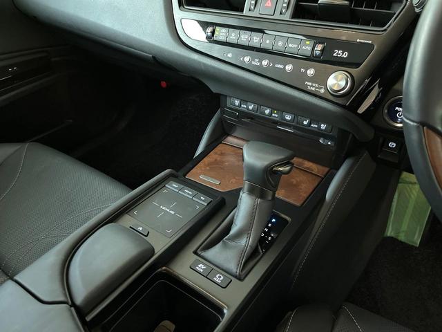 ＥＳ ＥＳ３００ｈ　バージョンＬ　後期　ムーンルーフ　パノラミックビューモニター　セーフティシステムプラス　３眼ＬＥＤヘッドライト　ハンズフリーパワートランクリッド　純正１８インチアルミ　黒革シート　メモリー機能付きパワーシート　禁煙（49枚目）