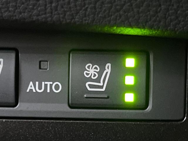 ＥＳ ＥＳ３００ｈ　バージョンＬ　後期　ムーンルーフ　パノラミックビューモニター　セーフティシステムプラス　３眼ＬＥＤヘッドライト　ハンズフリーパワートランクリッド　純正１８インチアルミ　黒革シート　メモリー機能付きパワーシート　禁煙（74枚目）