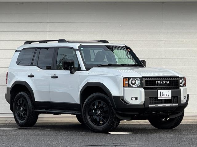 しー ライブディオZX （ライブディオZX/ホンダ/HONDA ライブディオZX