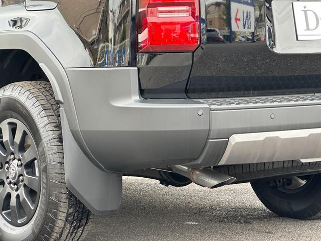 ランドクルーザー250 ZXファーストエディション 内装ブラウン 丸目ヘッドランプ JBLプレミアムサウンド ヘッドアップディスプレイ 電動格納サードシート 電動リヤデフロック 空気圧センサー 2列目シートヒーター&クーラー シートメモリ 置くだけ充電(32枚目)