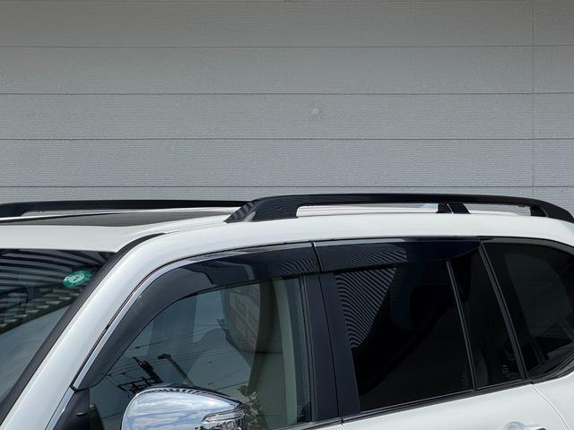 ランドクルーザー ZX 内装ベージュ ディーゼルターボ 12.3型JBLサウンドナビ クールボックス 寒冷地仕様 電動デフロック ルーフレールブラック 空気圧センサー ヒッチメンバー CD/DVD AC100V 純正20AW(24枚目)