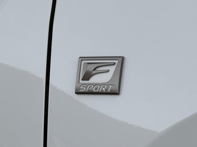 ＮＸ ＮＸ３５０ｈ　Ｆスポーツ　本革レッド内装　ＴＲＤエアロ　オレンジブレーキキャリパー　パノラマルーフ　デジタルインナーミラー　後席電動リクライニング　ヘッドアップディスプレイ　シートヒーター＆クーラー　ドラレコ前後　純正２０ＡＷ（19枚目）