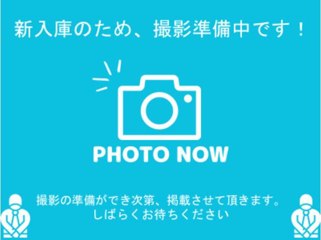 ハイゼットトラック エアコン・パワステ スペシャル 5MT スペアキー メンテナンスノート 車載工具 エアコン パワーステアリング ヘッドライトレベライザー 左サイド死角ミラー ハロゲンヘッドライト(45枚目)