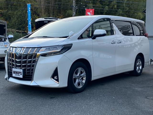 アルファード 2.5X 純正ナビ ドラレコ BT ETC バックカメラ アダプティブクルコン 盗難防止装置 スマートキー Pスタート 純正AW 両側電動スライドドア 電格ミラー LED オートライト オートマチックハイビーム(22枚目)