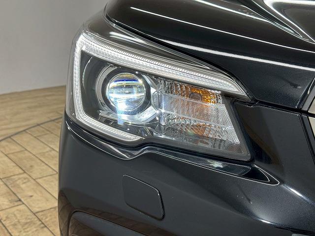 フォレスター Ｘ－エディション　８型ナビ／デジタルインナーミラー／ＬＥＤ／ブラインドスポットモニター／ルーフレール／シートヒーター／ステアリングヒーター／レーダークルーズコントロール／パワーバックドア／オートブレーキホールド／ＥＴＣ（30枚目）