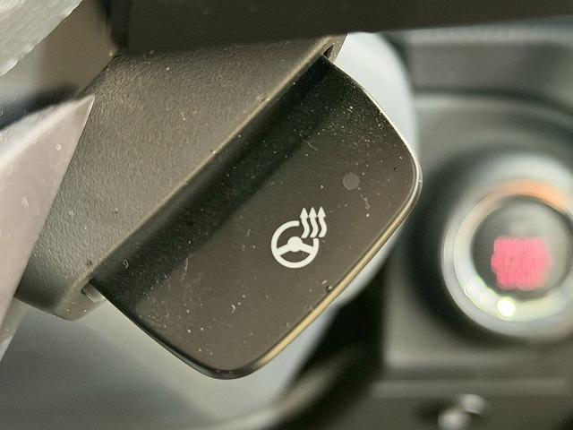 フォレスター アドバンス　ブラウンレザーシート／レーダークルーズコントロール／ブラインドスポットモニター／ＬＥＤヘッドライト／純正８型ナビ／バックカメラ／サイドカメラ／フロントカメラ／デジタルミインナーミラー／シートヒーター（45枚目）