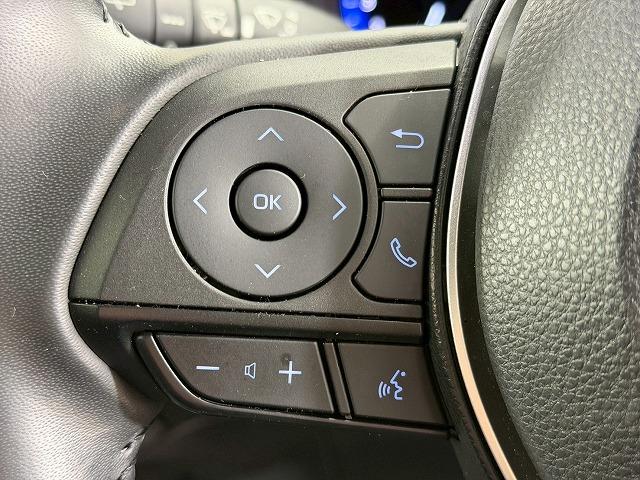 カローラクロス ハイブリッド Z 全周囲カメラ/ガラスルーフ/レーダークルーズコントロール/ブラインドスポットモニター/セーフティーセンス/電動リヤゲート/シートヒーター/パワーシート/ETC/LEDヘッドライト/純正ディスプレイ(42枚目)