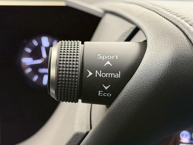 ES ES300h バージョンL 全周囲カメラ/サンルーフ/デジタルアウターミラー/ブラインドスポットモニター/シートヒーター/シートクーラー/純正12.3インチナビ/レーダクルーズコントロール/パドルシフト/パワーシート(43枚目)