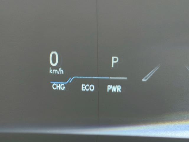 ES ES300h バージョンL 全周囲カメラ/サンルーフ/デジタルアウターミラー/ブラインドスポットモニター/シートヒーター/シートクーラー/純正12.3インチナビ/レーダクルーズコントロール/パドルシフト/パワーシート(47枚目)