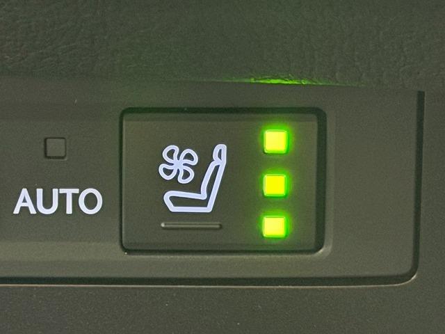 ES ES300h バージョンL 全周囲カメラ/サンルーフ/デジタルアウターミラー/ブラインドスポットモニター/シートヒーター/シートクーラー/純正12.3インチナビ/レーダクルーズコントロール/パドルシフト/パワーシート(53枚目)