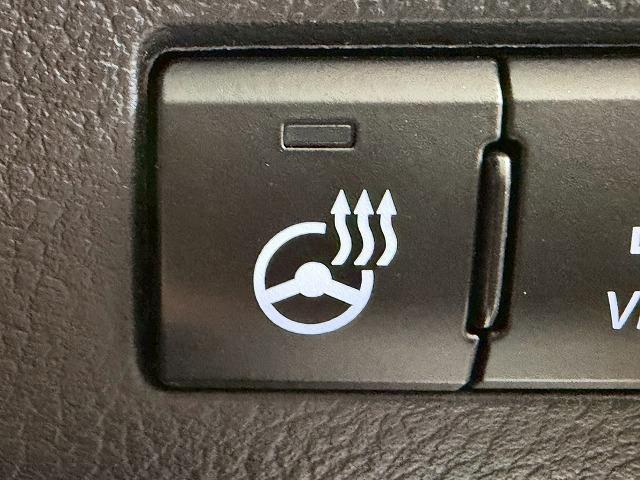 RX RX450hL サンルーフ/モデリスタエアロ/三眼LEDヘッドライト/ブラインドスポットモニター/シートクーラー/シートヒーター/レーダークルーズコントロール/ヘッドアップディスプレイ/電動リヤゲート(65枚目)