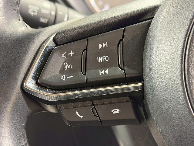 ＣＸ－５ ＸＤ　Ｌパッケージ　純正エアロ／全周囲カメラ／ＢＯＳＥスピーカー／レーダークルーズコントロール／ブラインドスポットモニター／ベージュレザーシート／クリアランスソナー／パワーシート／シートメモリー／電動リヤゲート／ＬＥＤ（39枚目）