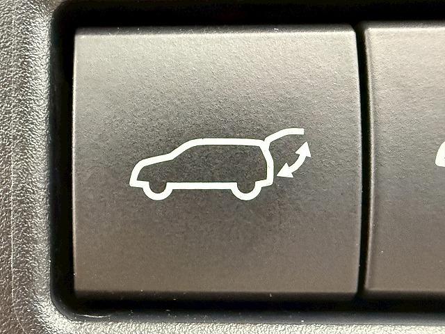 ＲＸ ＲＸ４５０ｈ　エレガントツアラー　特別仕様車／全周囲カメラ／茶革／三眼ＬＥＤヘッドライト／レーダークルーズコントロール／ブラインドスポットモニター／シートヒーター／シートクーラー／ヘッドアップディスプレイ／パドルシフト／電動リヤゲート（65枚目）