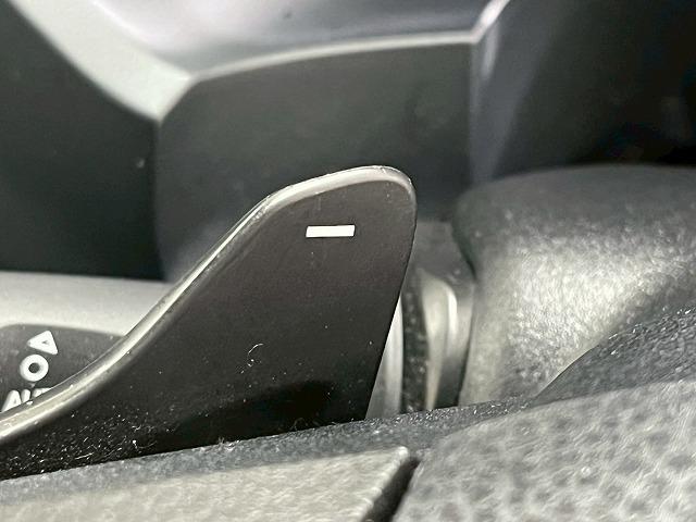 ランドクルーザープラド ＴＺ－Ｇ　サンルーフ／全周囲カメラ／ブラックレザーシート／３列シート／ブラインドスポットモニター／レーダークルーズコントロール／シートクーラー／シートヒーター／パドルシフト／純正１９インチアルミホイール（44枚目）