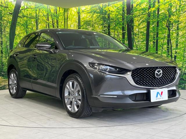 ＣＸ－３０ ２０Ｓ　プロアクティブ　ツーリングセレクション　８．８インチマツダコネクトディスプレイ　全周囲カメラ　レーダークルーズ　禁煙車　パワーシート　ドラレコ　コーナーセンサー　スマートキー　ＬＥＤヘッド　ビルトインＥＴＣ　オートハイビーム（16枚目）