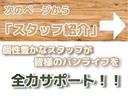 グランドキャビン　登録済み未使用車／キャプテンシート／ファインテックツアラー／４列１０人乗り／　パノラミックビューモニター／（61枚目）