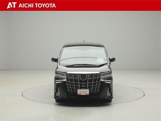 アルファード 2.5S タイプゴールドII ドライブレコーダ LEDランプ Bカメラ スマートキ AC100V フルセグTV 盗難防止システム ワンオーナー ダブルエアコン 助手席エアバッグ ETC オートクルーズ 3列シート メモリーナビ(9枚目)