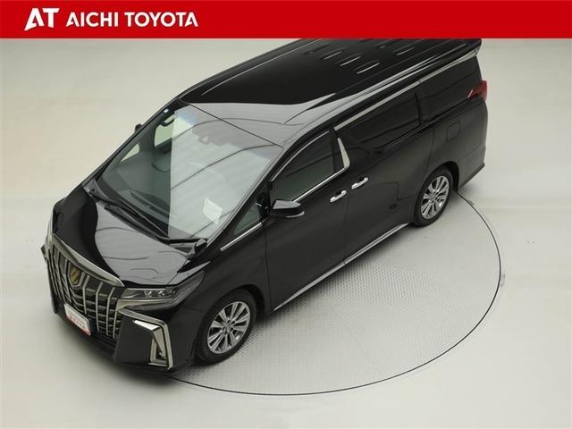 アルファード 2.5S タイプゴールドII ドライブレコーダ LEDランプ Bカメラ スマートキ AC100V フルセグTV 盗難防止システム ワンオーナー ダブルエアコン 助手席エアバッグ ETC オートクルーズ 3列シート メモリーナビ(10枚目)