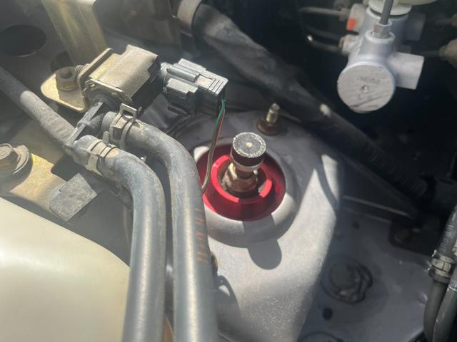 MAZDA ROADSTER MV LIMITED