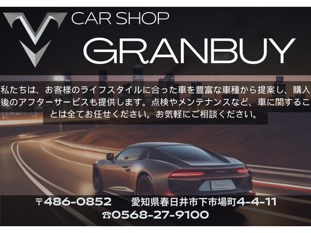 プリウスアルファ G クルーズコントロール バックカメラ BBSアルミホイール 純正SDナビゲーション CD・DVD再生 フルセグ視聴 スマートキー ビルドインETC ステアリングリモコン フォグライト Bluetooth(19枚目)