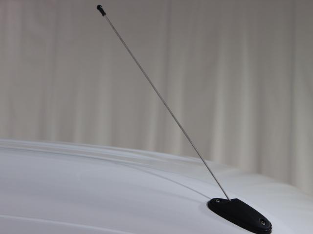 PAリミテッド 4型 5MT 純正ラジオ プレミアム中古車(32枚目)
