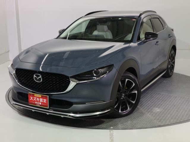 ＣＸ－３０ Ｘ　Ｌパッケージ　期間限定目玉車　ナビ・全方位カメラ・ＥＴＣ　マツダ純正ナビ（ＡＭ／ＦＭラジオ・フルセグＴＶチューナー・ＣＤ・ＤＶＤ・Ｂｌｕｅｔｏｏｔｈ・ＵＳＢ・ＨＤＭＩ）　全方位カメラ　ＥＴＣ２．０　前後ドライブレコーダー　フロアマット　ドアバイザー（22枚目）