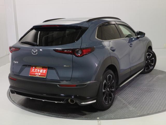 ＣＸ－３０ Ｘ　Ｌパッケージ　期間限定目玉車　ナビ・全方位カメラ・ＥＴＣ　マツダ純正ナビ（ＡＭ／ＦＭラジオ・フルセグＴＶチューナー・ＣＤ・ＤＶＤ・Ｂｌｕｅｔｏｏｔｈ・ＵＳＢ・ＨＤＭＩ）　全方位カメラ　ＥＴＣ２．０　前後ドライブレコーダー　フロアマット　ドアバイザー（26枚目）