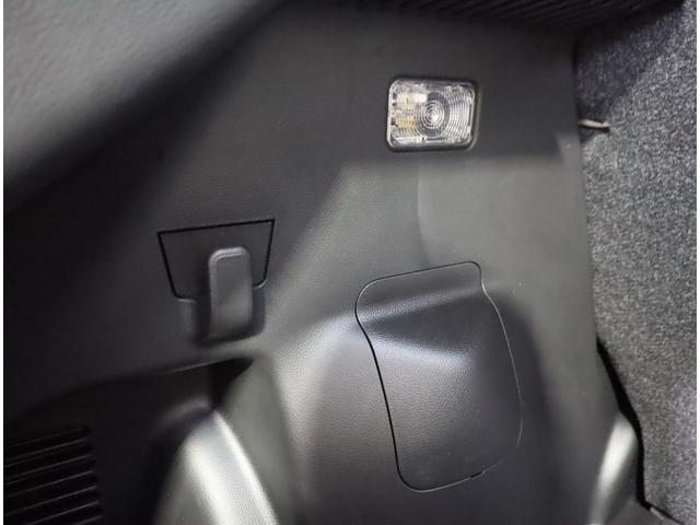 スイフトスポーツ スポーツ ナビ・ETC・バックカメラ・前方ドラレコ・マット 7インチワイドナビ(ラジオ・TV・CD・DVD・Bluetooth・MSV・SD・USB) ETC バックカメラ 前方ドラレコ 衝突被害軽減ブレーキ 追従機能付クルーズコントロール フロアマット(46枚目)