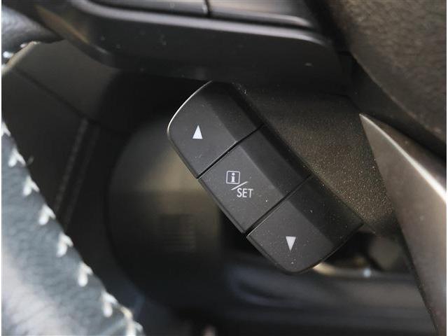 フォレスター アドバンス 4WD リヤゲート フロントカメラ スマートリヤビューミラー 衝突被害軽減ブレーキ ブラインドスポットモニター LEDヘッドライト ステアリングヒーター 8型ワイドナビ フルセグTV F・S・Rカメラ ETC(20枚目)