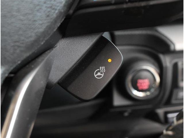 フォレスター アドバンス 4WD リヤゲート フロントカメラ スマートリヤビューミラー 衝突被害軽減ブレーキ ブラインドスポットモニター LEDヘッドライト ステアリングヒーター 8型ワイドナビ フルセグTV F・S・Rカメラ ETC(21枚目)