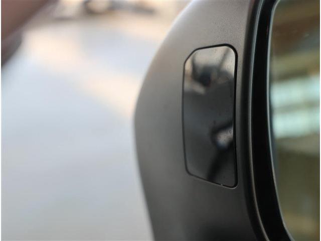 フォレスター アドバンス 4WD リヤゲート フロントカメラ スマートリヤビューミラー 衝突被害軽減ブレーキ ブラインドスポットモニター LEDヘッドライト ステアリングヒーター 8型ワイドナビ フルセグTV F・S・Rカメラ ETC(30枚目)