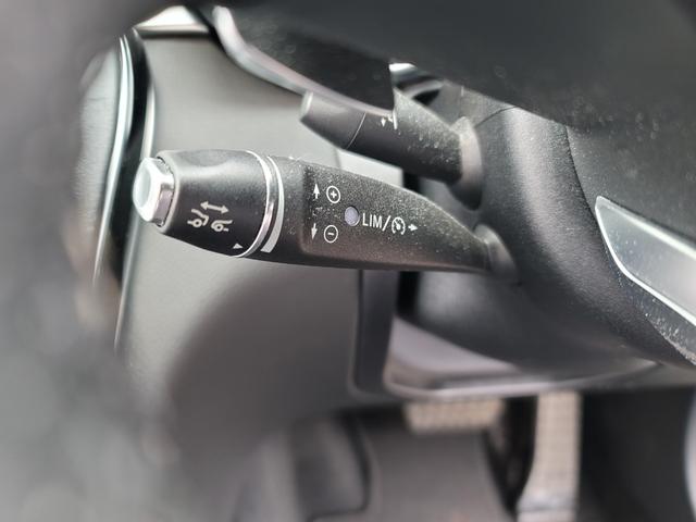 Cクラス C250スポーツ レーダークルーズ 衝突軽減 バックカメラ ブラインドスポットアシスト 運転席メモリー付パワーシート 純正ナビ 地デジTV LEDヘッドライト 黒革シート ETC(30枚目)