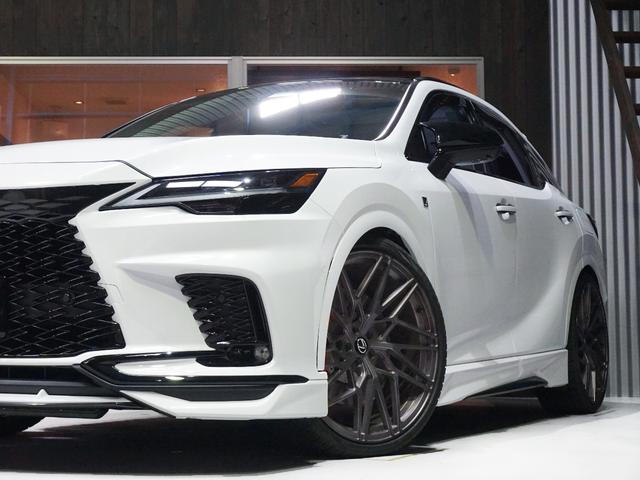 RX RX500h Fスポーツパフォーマンス TRDエアロダイナミクスPKG M’Sリアゲートスポイラ T&Tフォージド24インチ ESPELIRダウンサス マクレビ パノラマルーフ 輻射ヒーター 寒冷地 TVキャン リアスモーク OP21インチ(10枚目)