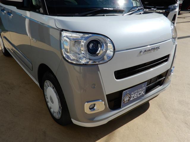 ムーヴキャンバス ストライプスＧ（8枚目）