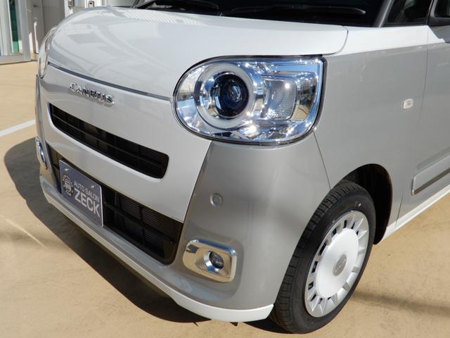 ムーヴキャンバス ストライプスＧ（9枚目）