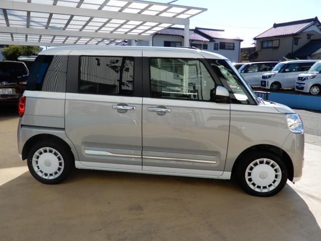 ムーヴキャンバス ストライプスＧ（13枚目）