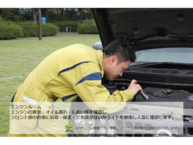 S Xバージョン 純正フルエアロDVDナビETCGoo鑑定付(47枚目)
