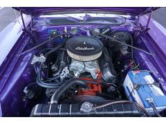 ���å������㡼���㡼  0204194A30251228W002 6