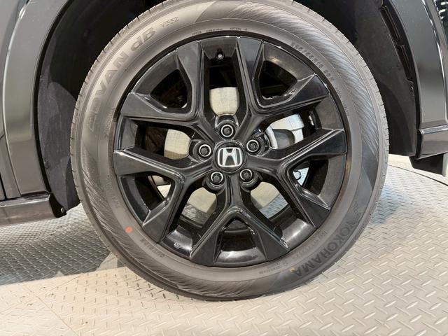 �y�����A���~�z�����A���~�����Ԃł��B������L�r�L�r�����ڂ��i�D�ǂ��ł��B�����ڂ��d��������ɂ͗~���������ł��I