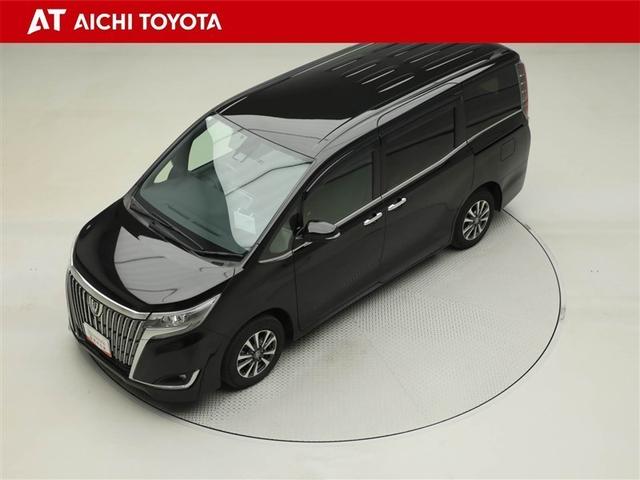 エスクァイア Ｇｉ　両側Ｐドア　１オナ　スマートキーＰスタート　リアカメラ　ＡＵＸ　アイドリングＳＴＯＰ　ＥＴＣ車載器　オートエアコン　イモビライザー　オートクルーズコントロール　キーレス　ナビＴＶ　ＡＢＳ　３列　アルミ（10枚目）