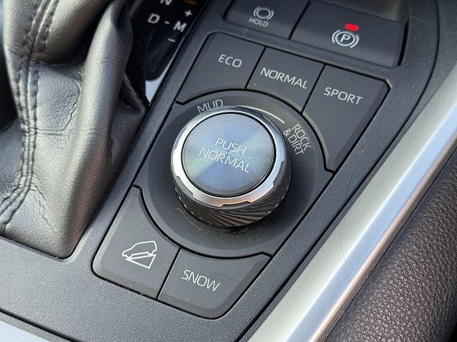 ＲＡＶ４ Ｇ　Ｚパッケージ　純正９型ディスプレイオーディオＴＶ　ＴＲＤフルエアロ　パノラミックビューモニター　レーダークルーズコントロール　クリアランスソナー　ブラインドスポットモニター　デジタルインナーミラー　電動リアゲート（64枚目）