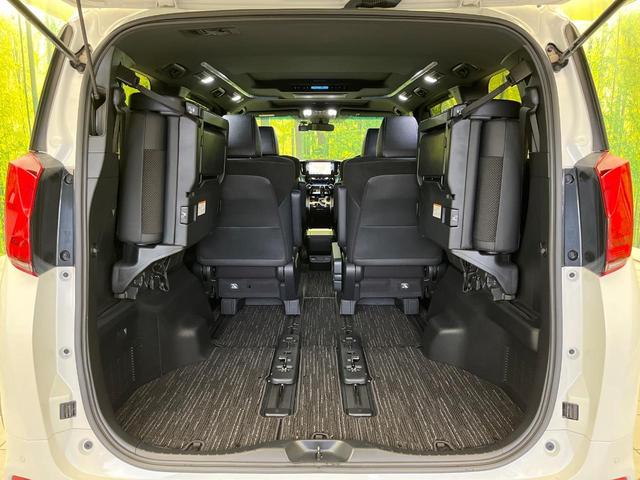 アルファード 2.5S タイプゴールド ツインルーフ 両側電動ドア 純正SDナビ 後席モニター バックカメラ 衝突被害軽減システム 100V電源 レーダークルーズ 禁煙車 電動リアゲート ハーフレザーシート ドラレコ コーナーセンサー(10枚目)