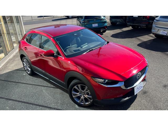 ＣＸ－３０ ＸＤ　ツーリング　ブラウンレザーシート・コネクトナビ・フルセグＴＶ・３６０°全周囲カメラ・パワーシート・シートヒーター・パワーバックドア・ＢＳＭ・前後ドライブレコーダー・ビルトインＥＴＣ・ＨＤＭＩ・オクダケ充電・禁煙車（5枚目）