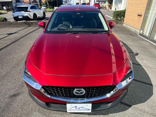 ＣＸ－３０ ＸＤ　ツーリング　ブラウンレザーシート・コネクトナビ・フルセグＴＶ・３６０°全周囲カメラ・パワーシート・シートヒーター・パワーバックドア・ＢＳＭ・前後ドライブレコーダー・ビルトインＥＴＣ・ＨＤＭＩ・オクダケ充電・禁煙車（35枚目）