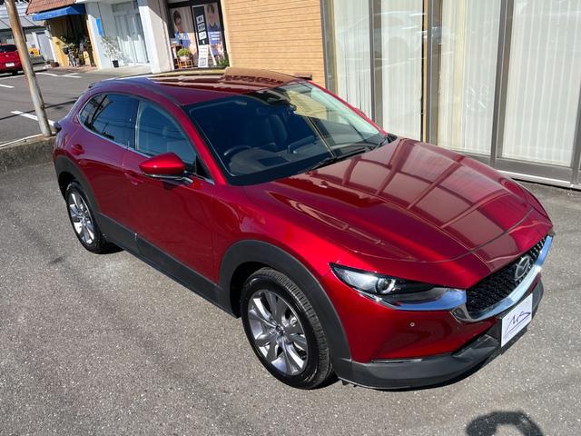 ＣＸ－３０ ＸＤ　ツーリング　ブラウンレザーシート・コネクトナビ・フルセグＴＶ・３６０°全周囲カメラ・パワーシート・シートヒーター・パワーバックドア・ＢＳＭ・前後ドライブレコーダー・ビルトインＥＴＣ・ＨＤＭＩ・オクダケ充電・禁煙車（36枚目）