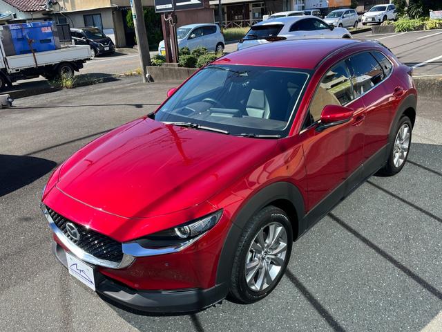ＣＸ－３０ ＸＤ　ツーリング　ブラウンレザーシート・コネクトナビ・フルセグＴＶ・３６０°全周囲カメラ・パワーシート・シートヒーター・パワーバックドア・ＢＳＭ・前後ドライブレコーダー・ビルトインＥＴＣ・ＨＤＭＩ・オクダケ充電・禁煙車（39枚目）