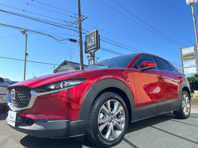 ＣＸ－３０ ＸＤ　ツーリング　ブラウンレザーシート・コネクトナビ・フルセグＴＶ・３６０°全周囲カメラ・パワーシート・シートヒーター・パワーバックドア・ＢＳＭ・前後ドライブレコーダー・ビルトインＥＴＣ・ＨＤＭＩ・オクダケ充電・禁煙車（40枚目）