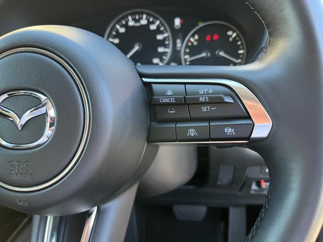 ＣＸ－３０ ＸＤ　ツーリング　ブラウンレザーシート・コネクトナビ・フルセグＴＶ・３６０°全周囲カメラ・パワーシート・シートヒーター・パワーバックドア・ＢＳＭ・前後ドライブレコーダー・ビルトインＥＴＣ・ＨＤＭＩ・オクダケ充電・禁煙車（53枚目）